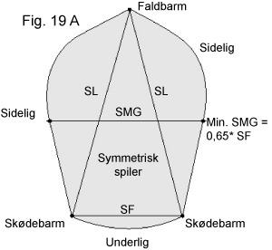 Fig-19A.gif